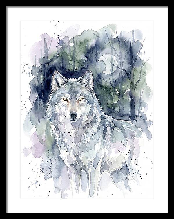 Gray Wolf In Watercolor