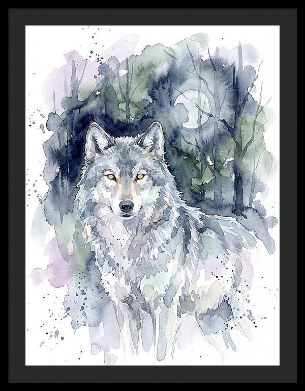 Gray Wolf In Watercolor