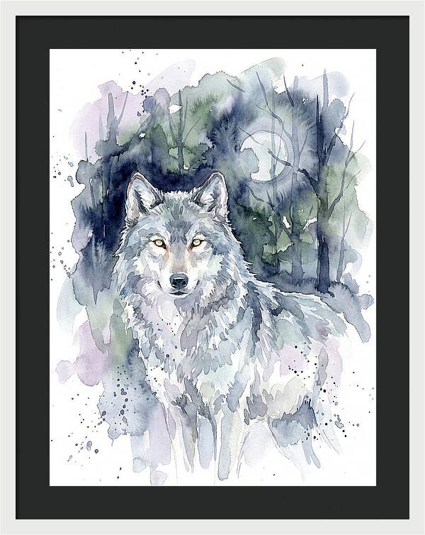Gray Wolf In Watercolor