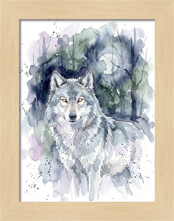 Gray Wolf In Watercolor