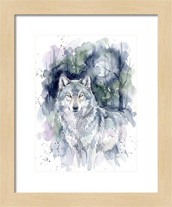 Gray Wolf In Watercolor
