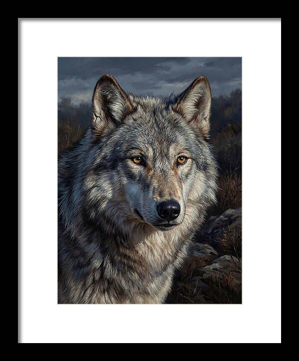 Gray Wolf Majesty