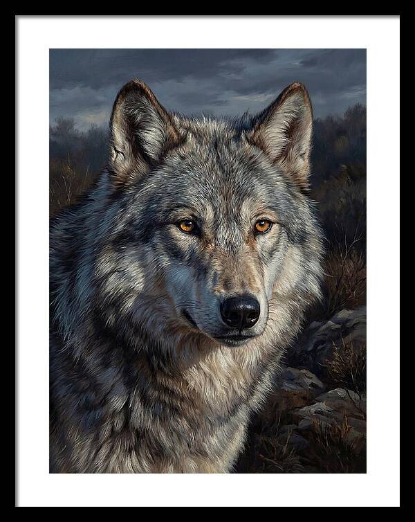 Gray Wolf Majesty