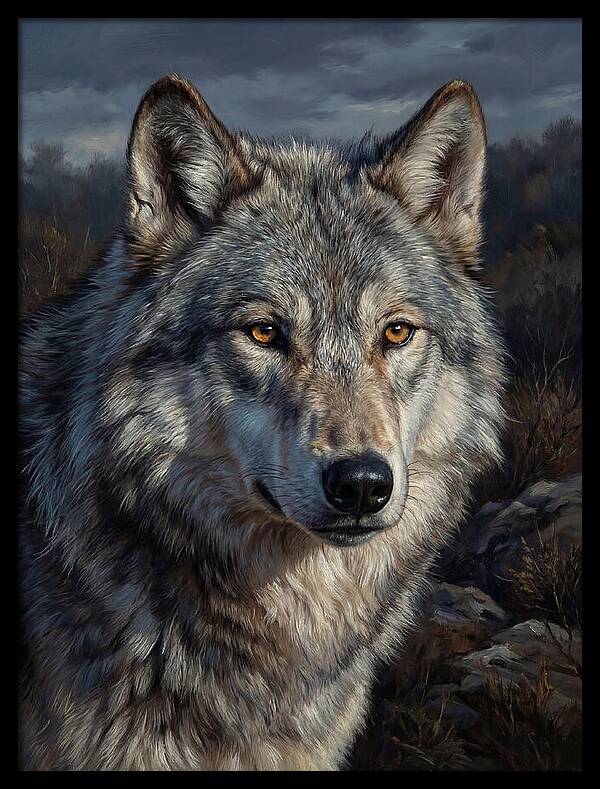 Gray Wolf Majesty