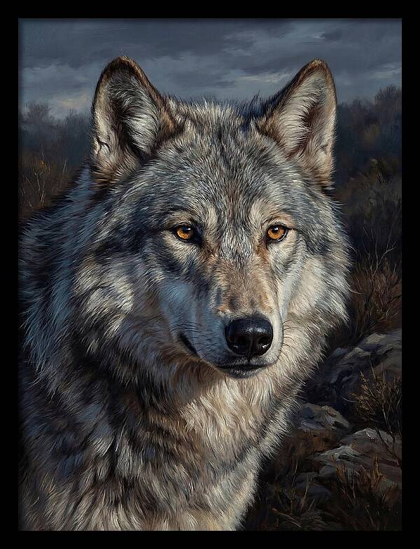 Gray Wolf Majesty