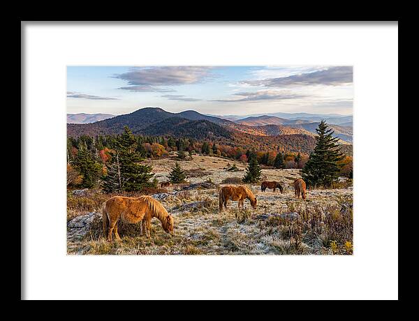 Grayson Highlands Serenity
