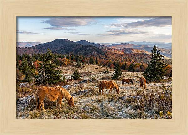 Grayson Highlands Serenity