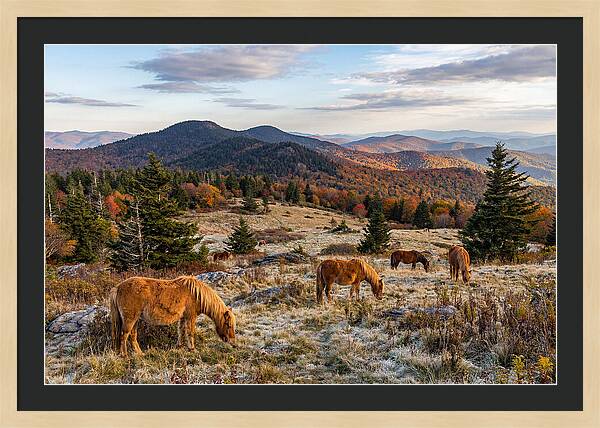 Grayson Highlands Serenity