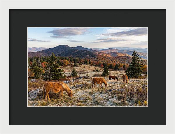 Grayson Highlands Serenity