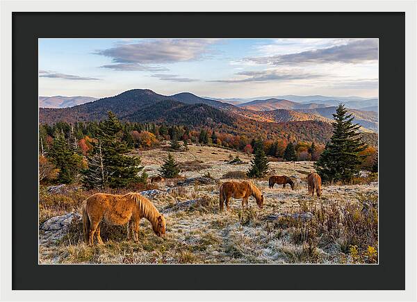 Grayson Highlands Serenity