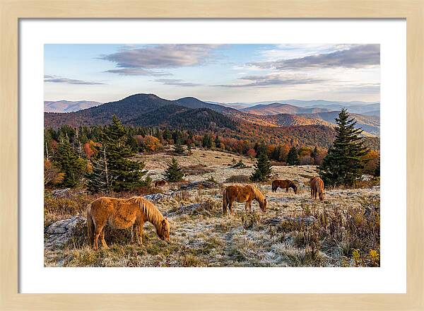 Grayson Highlands Serenity