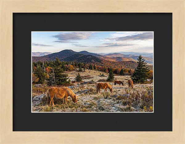 Grayson Highlands Serenity