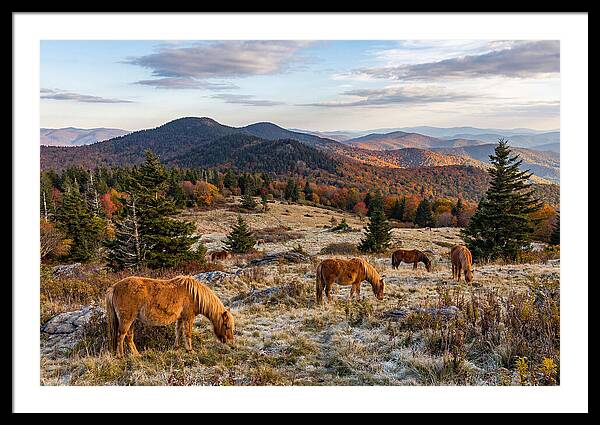 Grayson Highlands Serenity