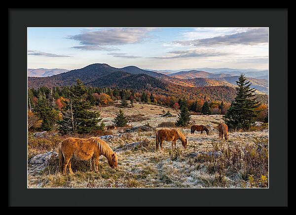 Grayson Highlands Serenity