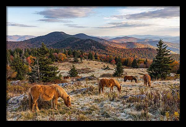 Grayson Highlands Serenity