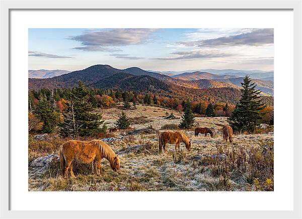 Grayson Highlands Serenity