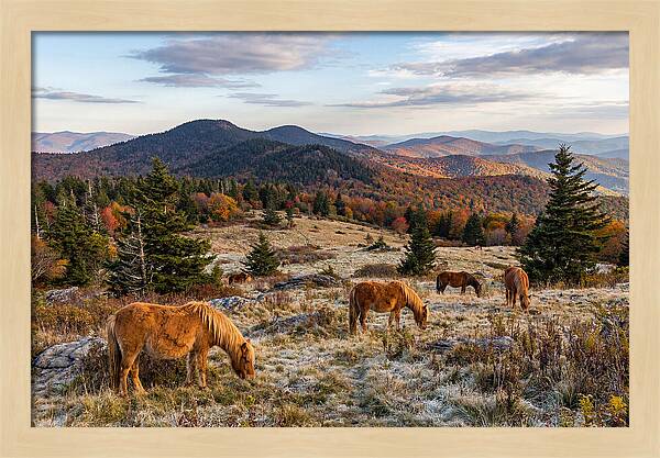 Grayson Highlands Serenity