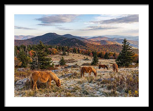 Grayson Highlands Serenity