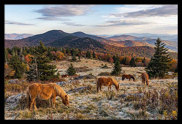 Grayson Highlands Serenity