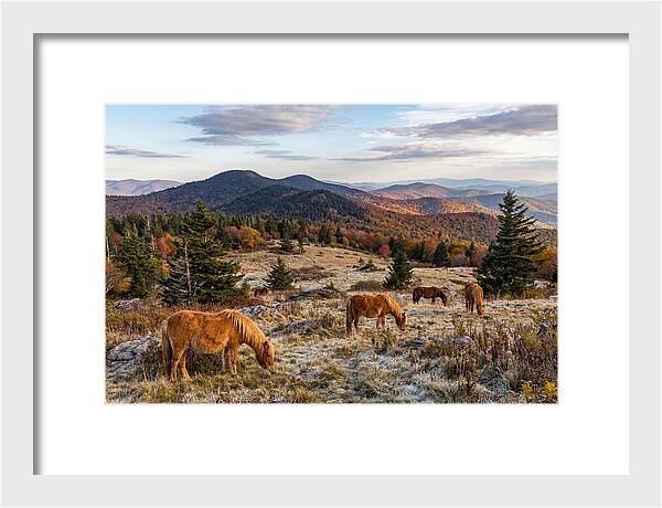 Grayson Highlands Serenity