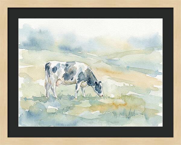 Grazing Cow In Watercolor