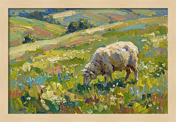Grazing Sheep In Vibrant Fields