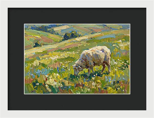 Grazing Sheep In Vibrant Fields