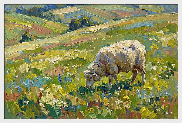 Grazing Sheep In Vibrant Fields