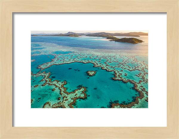Great Barrier Reef From Above