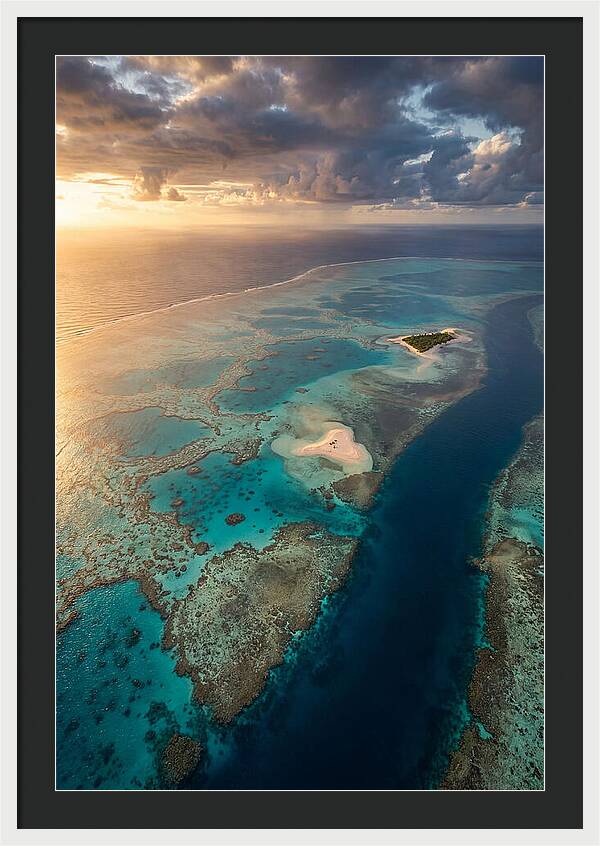 Great Barrier Reef Serenity