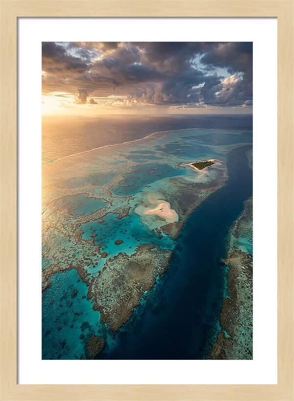 Great Barrier Reef Serenity