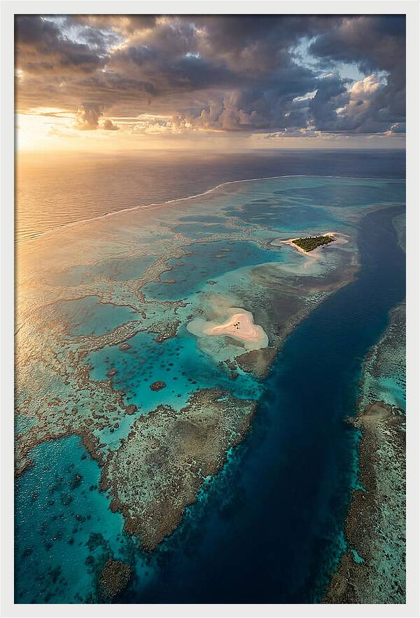 Great Barrier Reef Serenity