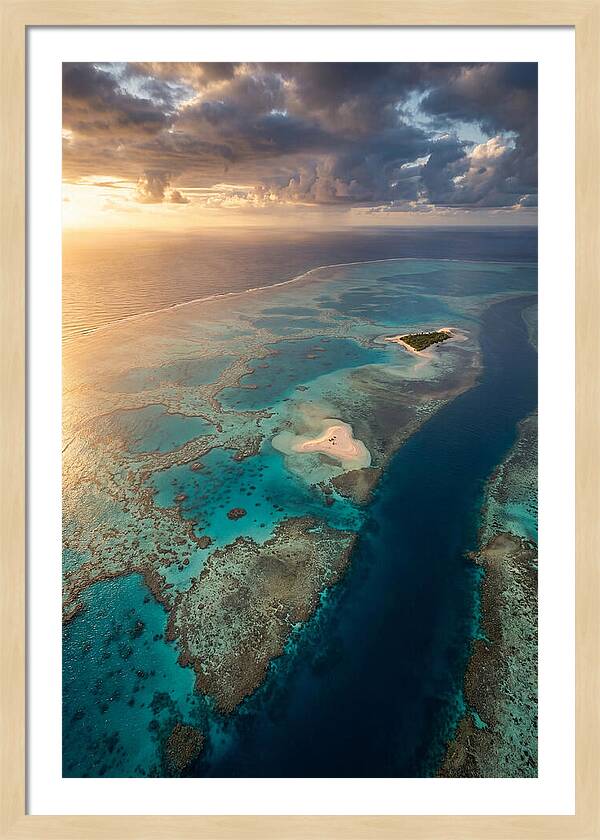 Great Barrier Reef Serenity
