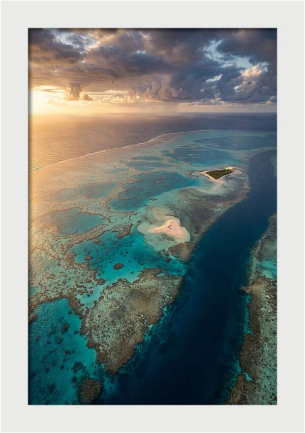 Great Barrier Reef Serenity