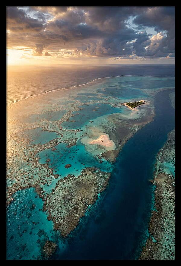Great Barrier Reef Serenity