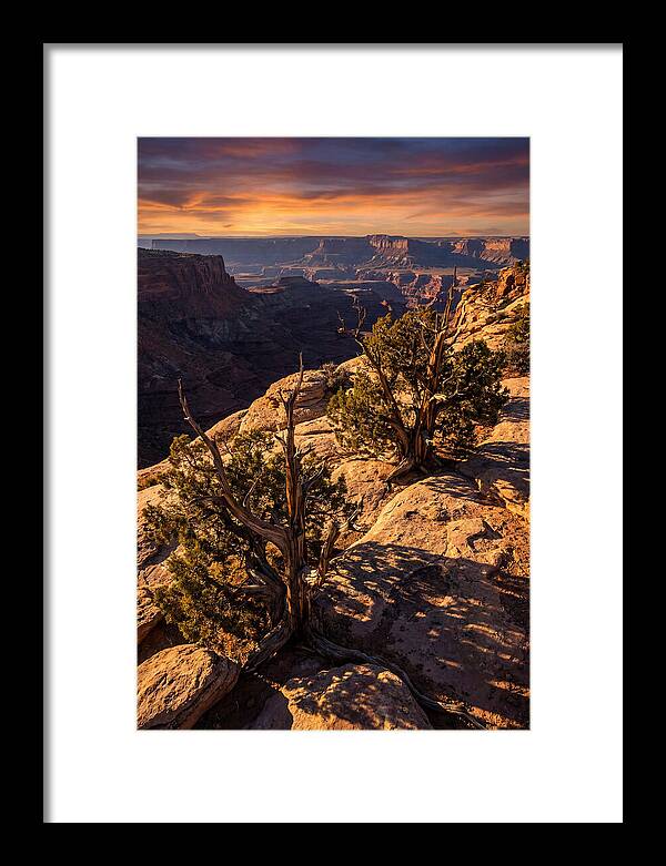 Great Basin Desert Serenity