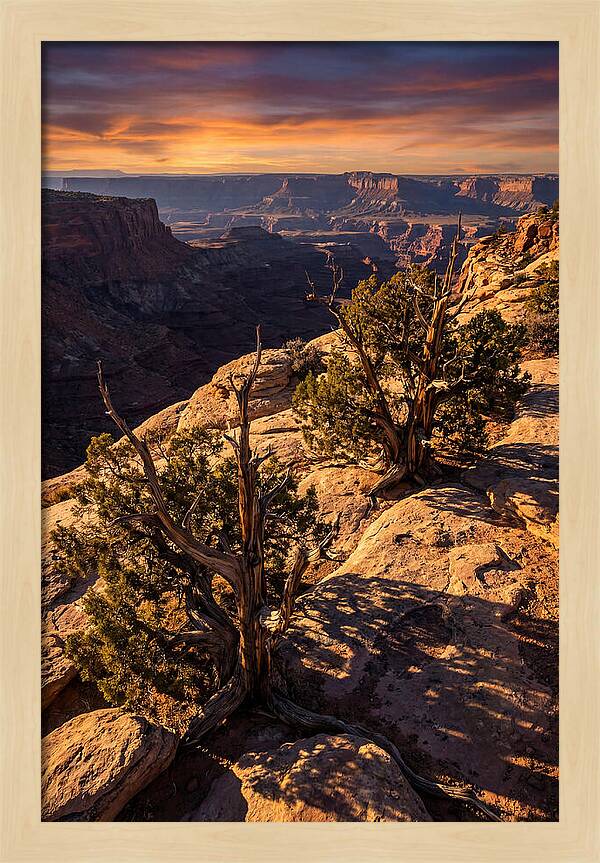 Great Basin Desert Serenity