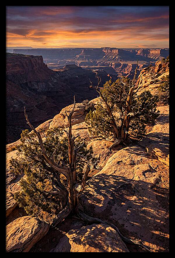 Great Basin Desert Serenity