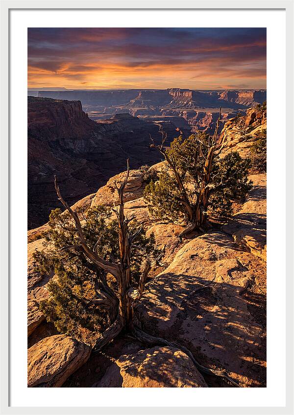 Great Basin Desert Serenity