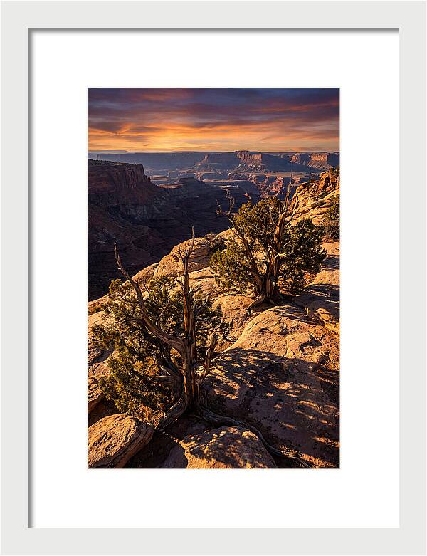 Great Basin Desert Serenity