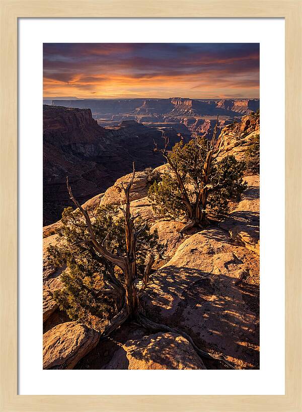 Great Basin Desert Serenity