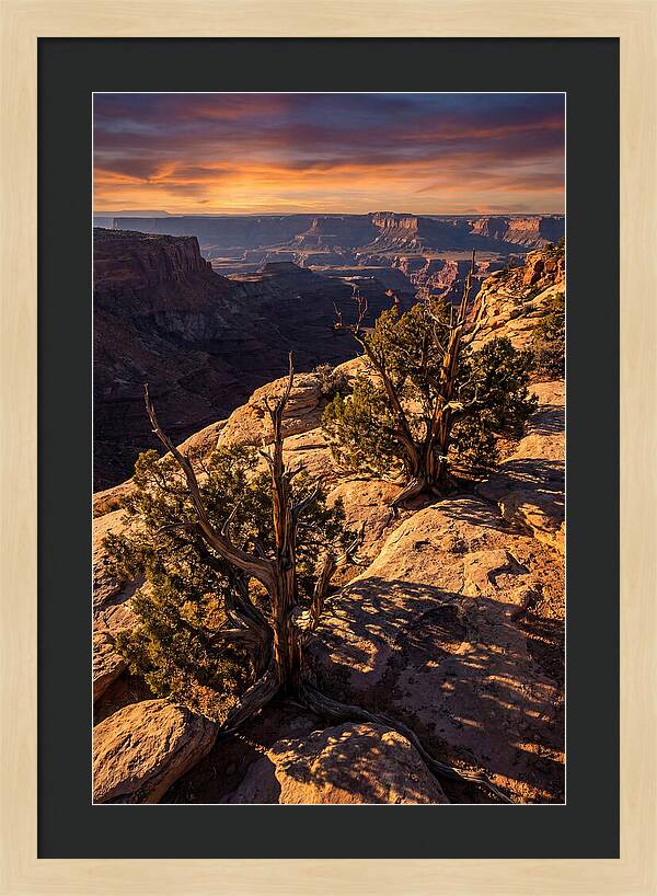 Great Basin Desert Serenity