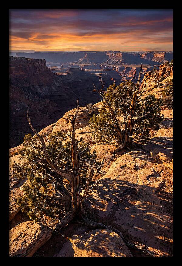 Great Basin Desert Serenity