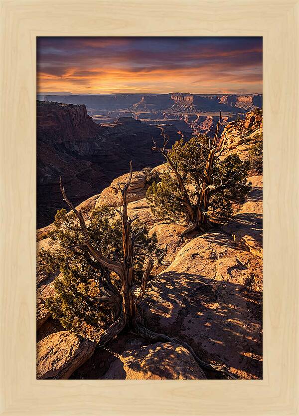 Great Basin Desert Serenity