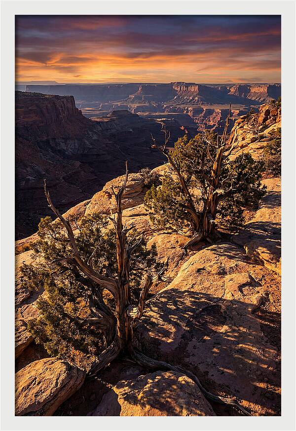 Great Basin Desert Serenity