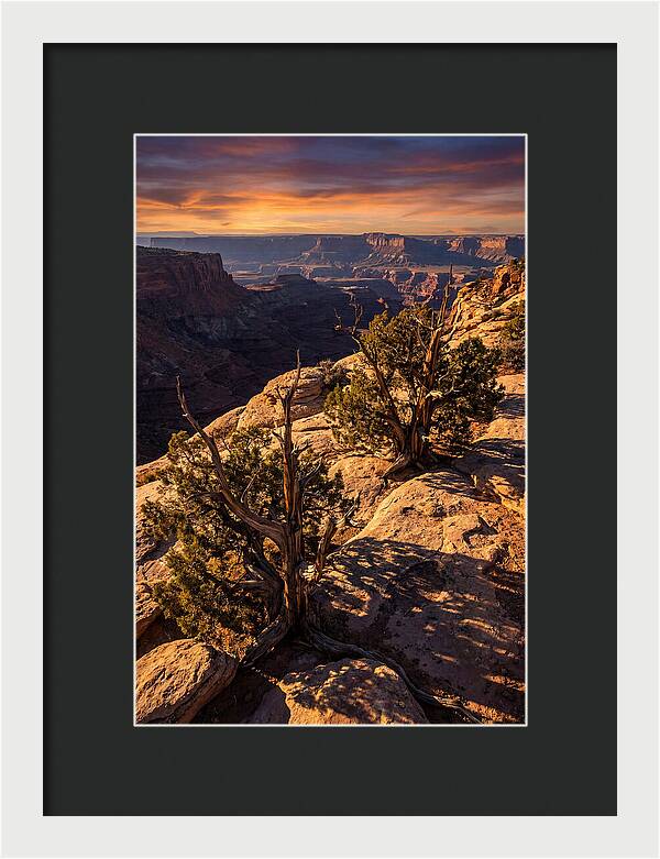 Great Basin Desert Serenity