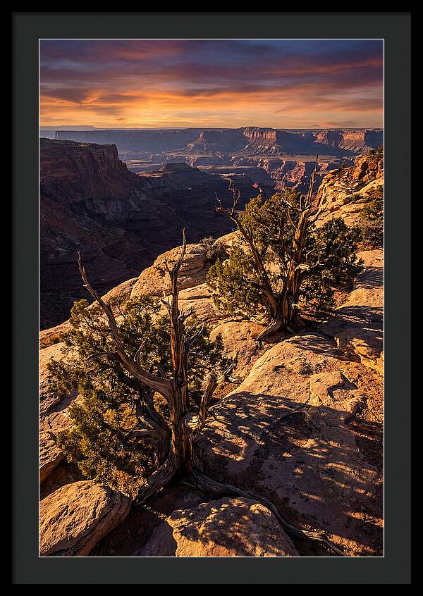 Great Basin Desert Serenity