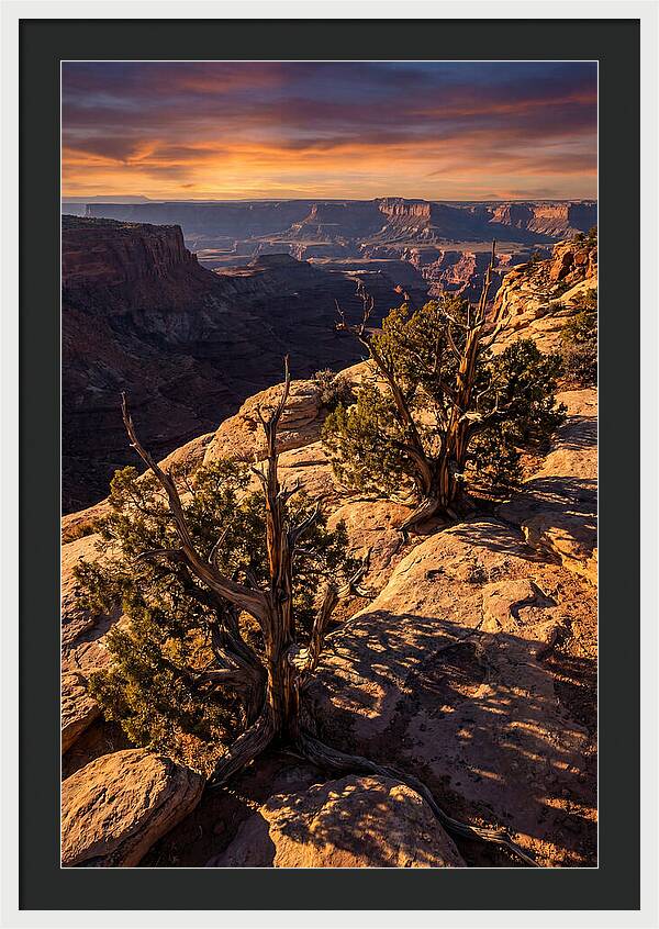 Great Basin Desert Serenity