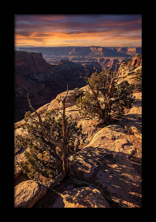 Great Basin Desert Serenity