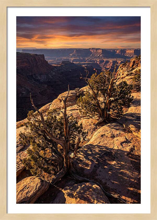 Great Basin Desert Serenity